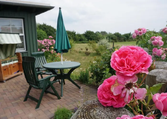 Atelierwohnung Goetze Appartement